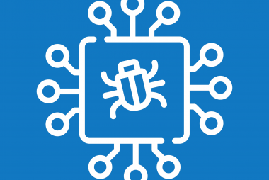 Virus and Bug Removal